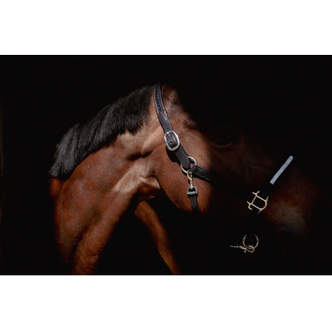 Caveção Pénélope Harmonie Preto