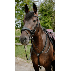 Bridão de endurance Norton Pop