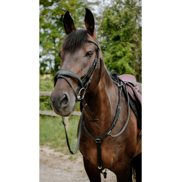 Bridão de endurance Norton Pop