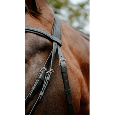 Bridão de endurance Norton Pop