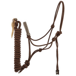 Caveção etológico + guia Norton Deco