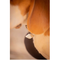 Coleira para cão Penelope Billie Preto / lurex