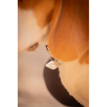 Coleira para cão Penelope Billie