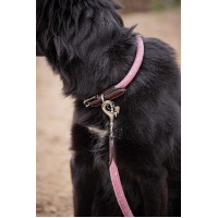 Coleira para cão Penelope Billie Rosa / lurex