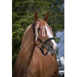 Frontal caça-moscas Norton Frontal caça-moscas Norton