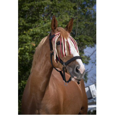 Frontal caça-moscas Norton Frontal caça-moscas Norton