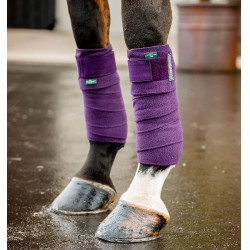 Bandagens de polo Horseware Amigo Bagas-de-inverno Violeta