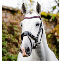 Bridão Horseware Diamante com Flasheur Preto / rosa