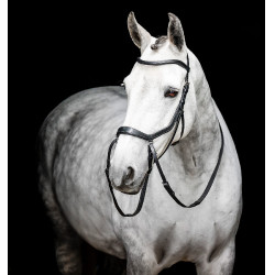 Bridão pônei Horseware com noseband flash Castanho