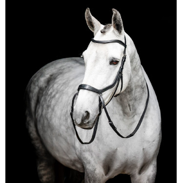 Bridão pônei Horseware com noseband flash Castanho
