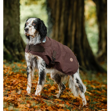 Manta para cão Horseware Heritage Newmarket Castanho / azul-marinho Witney