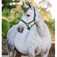 Caveção e guia Horseware Dinastia verde