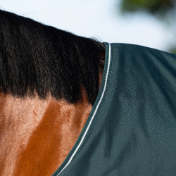 Manta de paddock Imperial Riding Basic sem pescoço 300 g Verde Manta de paddock Imperial Riding Basic sem pescoço 300 g Verde