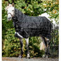 Manta Horseware Rhino Turnout Poney Bundle com liner 0g e 200g