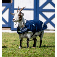 Manta Horseware para cabra 100g Marine witney Azul-marinho Manta Horseware para cabra 100g Marine witney Azul-marinho