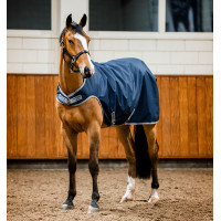 Capa para andador Horseware Amigo Ripstop 900D 100g Marinho / cinza titânio Azul-marinho Capa para andador Horseware Amigo Ripstop 900D 100g Marinho / cinza titânio Azul-marinho