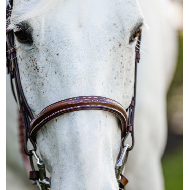 Bridão pônei Horseware Cavesson Hunter com rédeas Bridão pônei Horseware Cavesson Hunter com rédeas