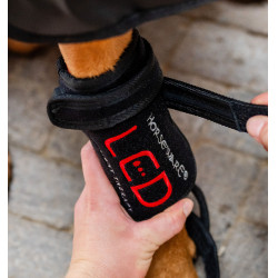 Guêtres de Terapia para cão Horseware por luz vermelha LED