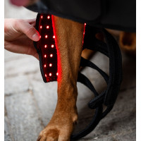 Guêtres de Terapia para cão Horseware por luz vermelha LED Preto / preto Guêtres de Terapia para cão Horseware por luz vermelha LED Preto / preto