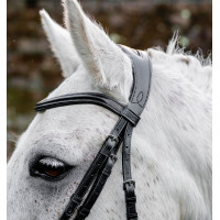 Bridão pônei Horseware com noseband flash Preto