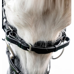Bridão pônei Horseware com noseband flash Preto Bridão pônei Horseware com noseband flash Preto