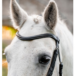 Bridão pônei Horseware com noseband flash Preto Bridão pônei Horseware com noseband flash Preto