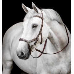 Bridão Horseware Micklem Deluxe Competition Havana escuro Castanho Bridão Horseware Micklem Deluxe Competition Havana escuro Castanho