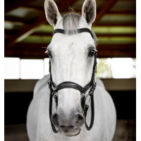 Bridão Horseware Micklem Deluxe Competition