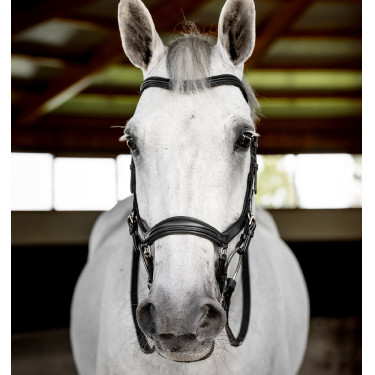 Bridão Horseware Micklem Deluxe Competition Preto Bridão Horseware Micklem Deluxe Competition Preto