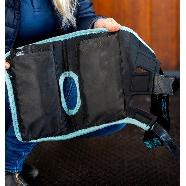 Protetores de jarrete Horseware Ice-Vibe