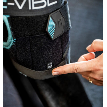 Protetores de jarrete Horseware Ice-Vibe