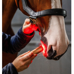 Caneta de terapia Horseware com luz vermelha LED Preto / preto