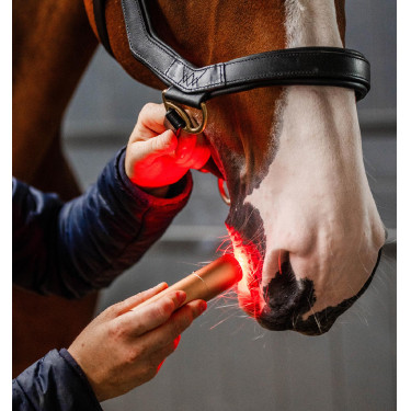 Caneta de terapia Horseware com luz vermelha LED Preto / preto
