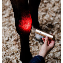 Caneta de terapia Horseware com luz vermelha LED Preto / preto