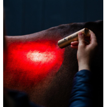 Caneta de terapia Horseware com luz vermelha LED Preto / preto