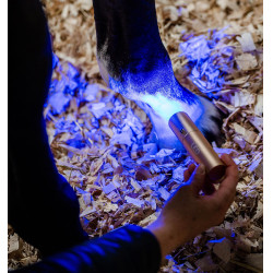 Caneta de terapia Horseware com luz vermelha LED Preto / preto
