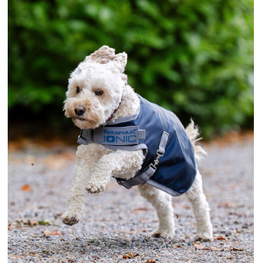 Manta terapêutica para cão Horseware Ionic 50g Azul imperial / prata e marinho