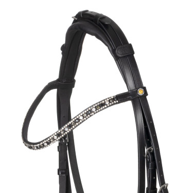 Bridão Equestro com focinheira anatómica Preto