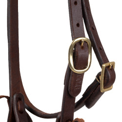 Bridão one-ear Pool’s em latão com tira de garganta Envernizado