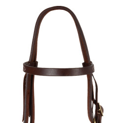 Bridão western Pool’s Browband Tie Ends Envernizado