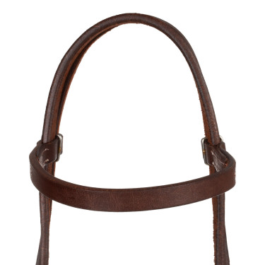 Bridão western Pool's Quick Change com testeira reta Envernizado