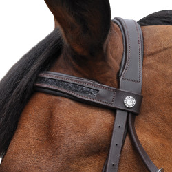 Bridão Canter Preto com strass Bridão Canter Preto com strass