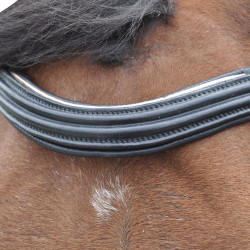 Bridon Canter ROSE GOLD Noir