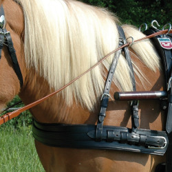 Bricole Euro com sobrecolete Canter Bricole Euro com sobrecolete Canter