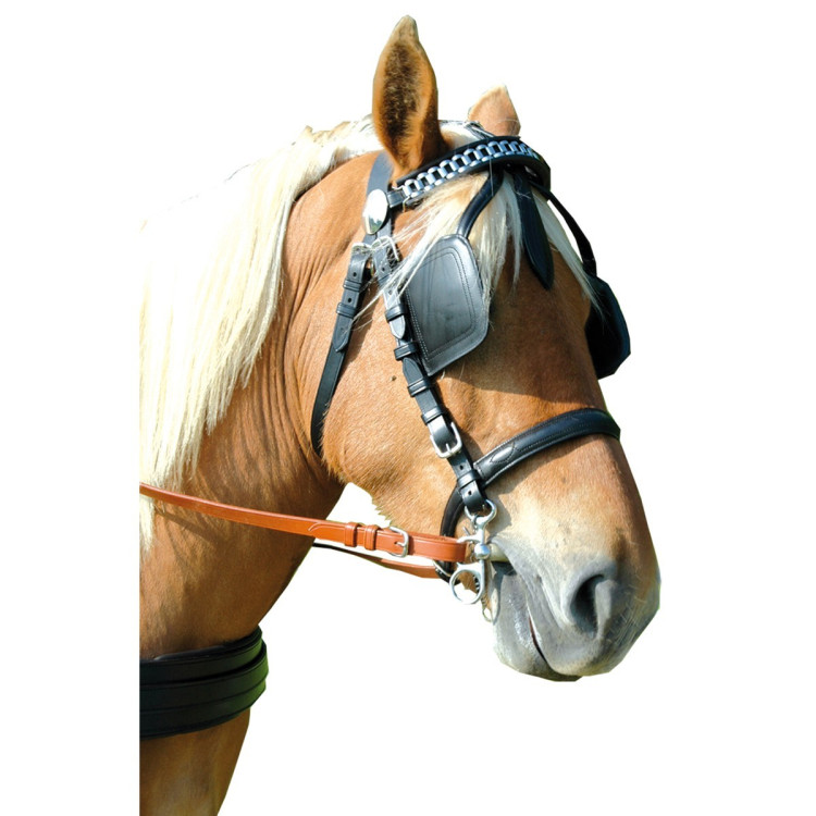 Suporte de arnês EURO Canter Suporte de arnês EURO Canter