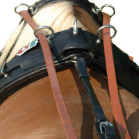 Guias de couro para arreios em par Chetak Newmarket Castanho