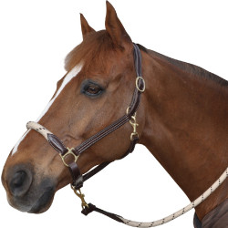 Corda de cabeçada Canter Corda de cabeçada Canter