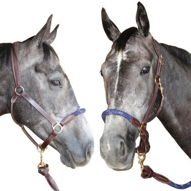 Corda de cabeçada Canter Corda de cabeçada Canter