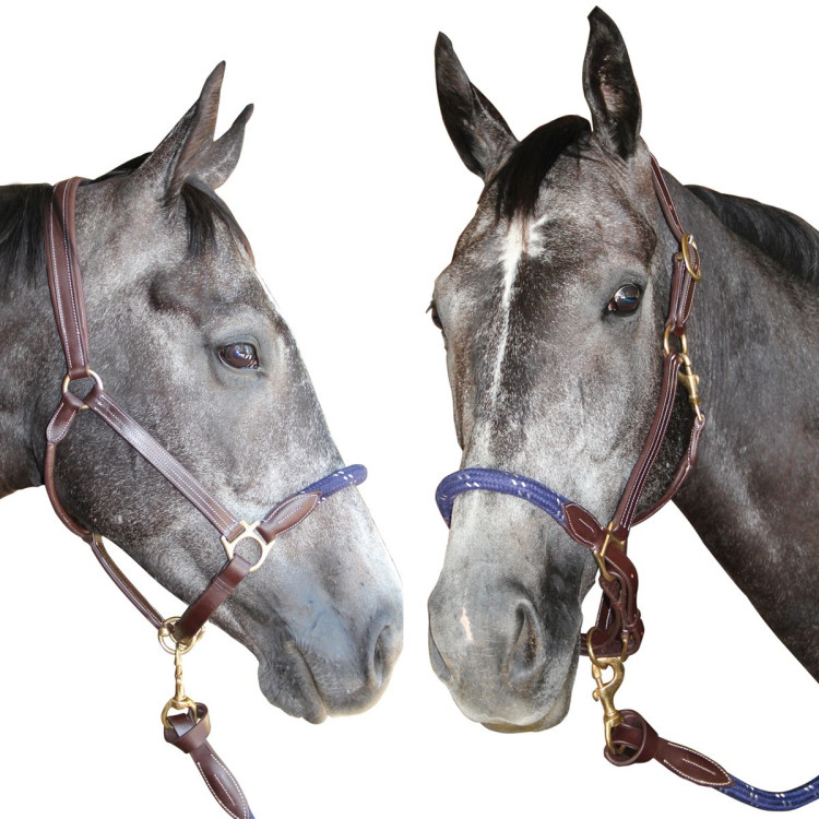 Corda de cabeçada Canter Corda de cabeçada Canter