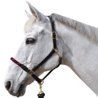 Licol corde Canter